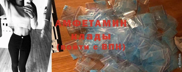 крисы Лагань