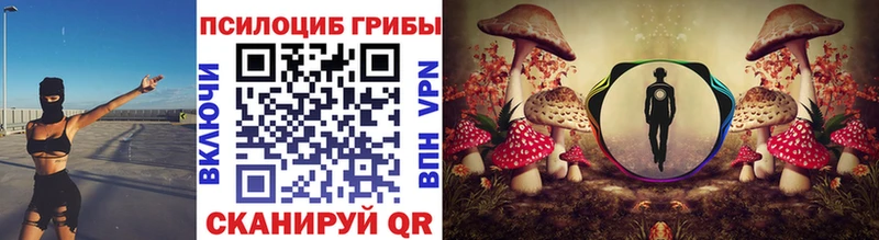 Купить  Ильский  Галлюциногенные грибы прущие грибы 